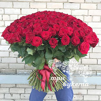 Букет из 201 красной розы 70 см