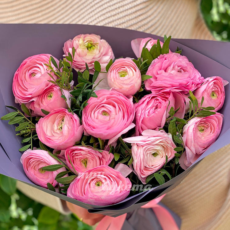 Букет из 15 розовых ранункулюсов (крупный план)