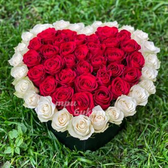 Коробка-сердце красных и белых роз